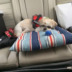 Meet your Posher, Erica